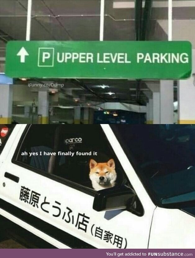 Parking for pupper
