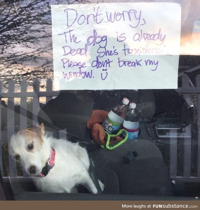 The dog is already dead, please don't break my window =)