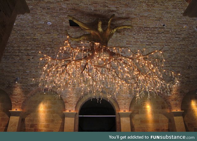 Chandelier made from tree roots