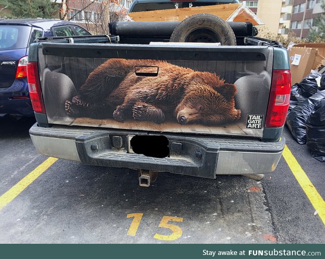 Best tailgate decal I have ever seen!