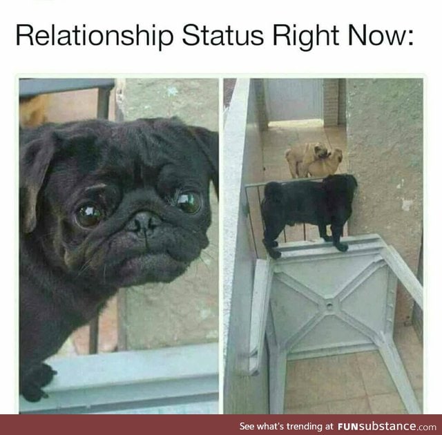 Relationship status right now