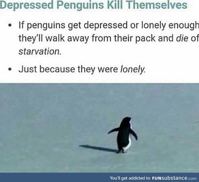 Depressed penguins