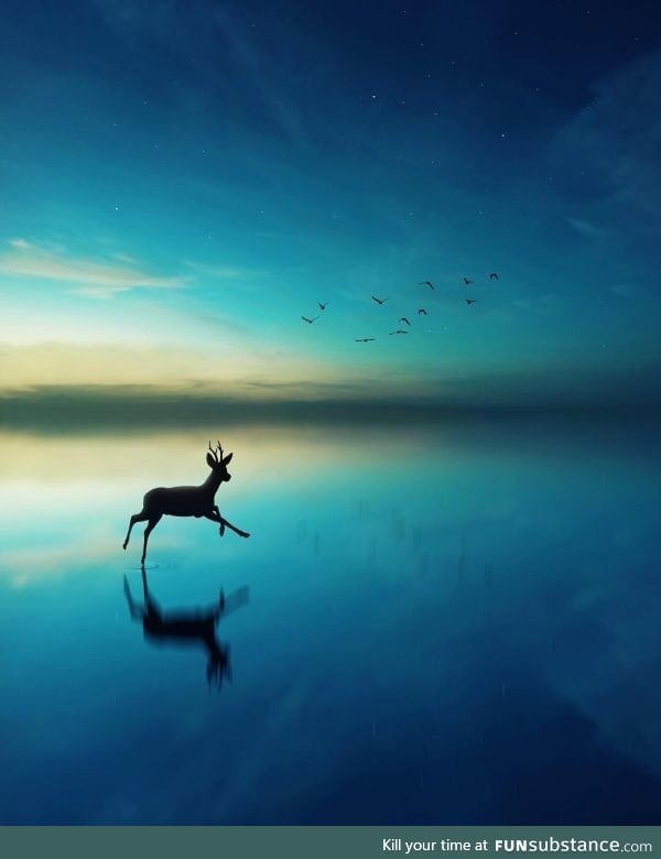 Deer prancing through the water