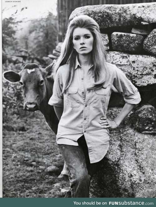Martha Stewart (right) first got famous as a model