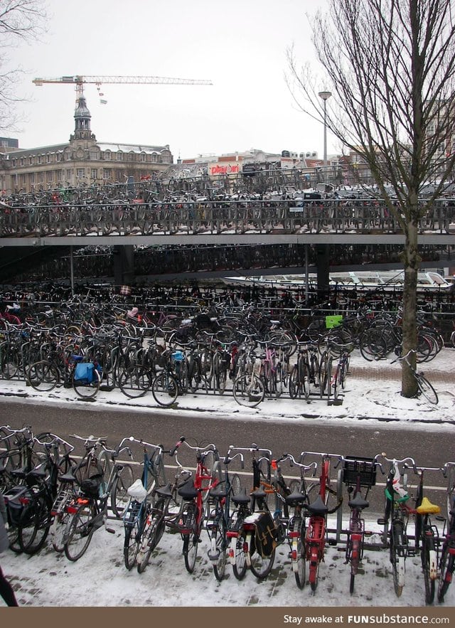The average parking lot in The Netherlands