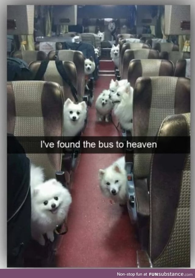 Bus to heaven