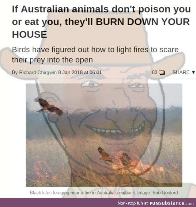 Australian animals are built to kill