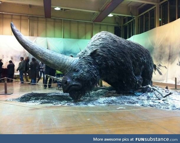 Meet the Elasmotherium, a big hairy unicorn that existed as early as 29,000 years ago