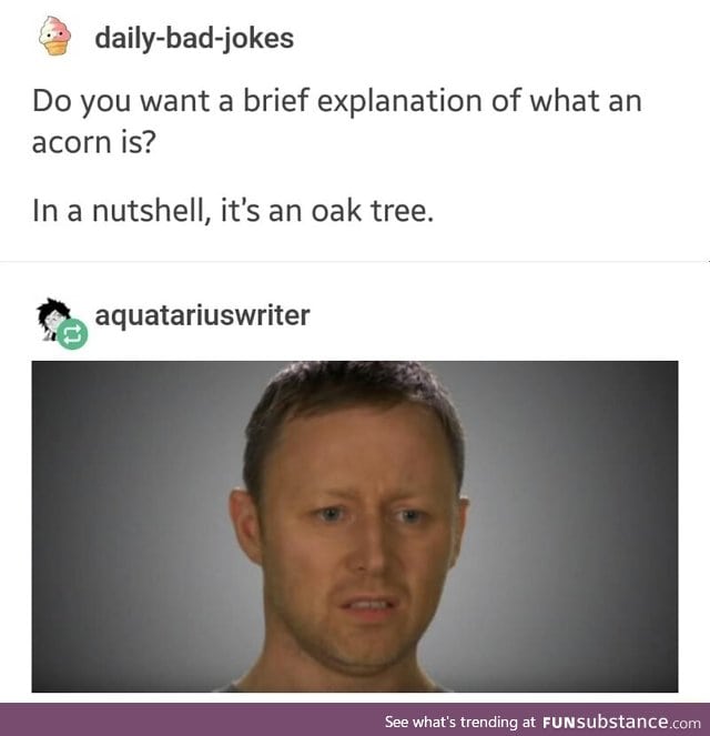 What is an acorn?