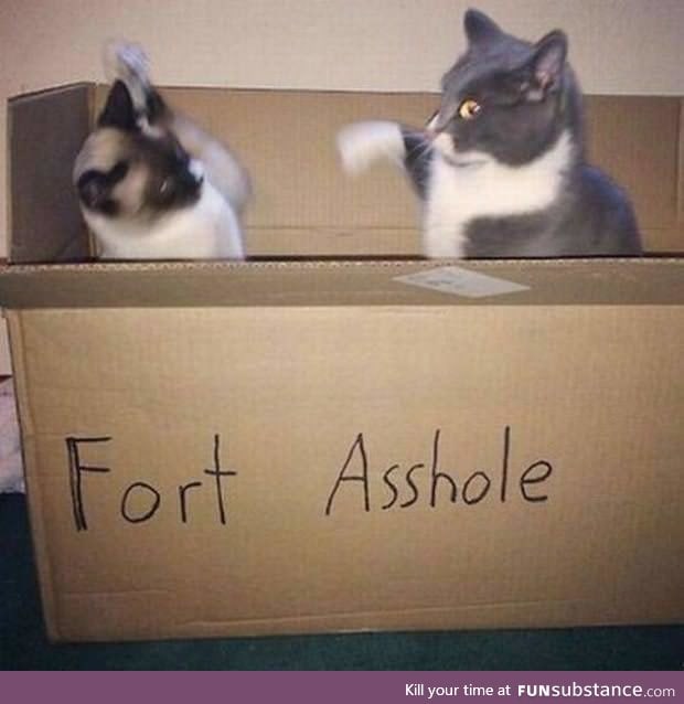 Fort asshole