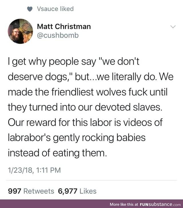 We deserve dogs