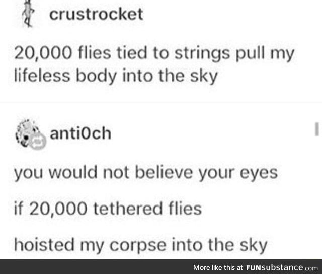 20,000 flies tied to your body