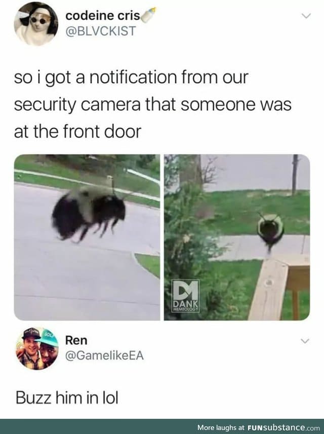 Excuse me sir, do you have a moment to talk about our lord and saviour, Beesus?