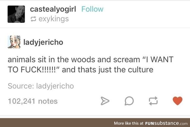 Respect the culture