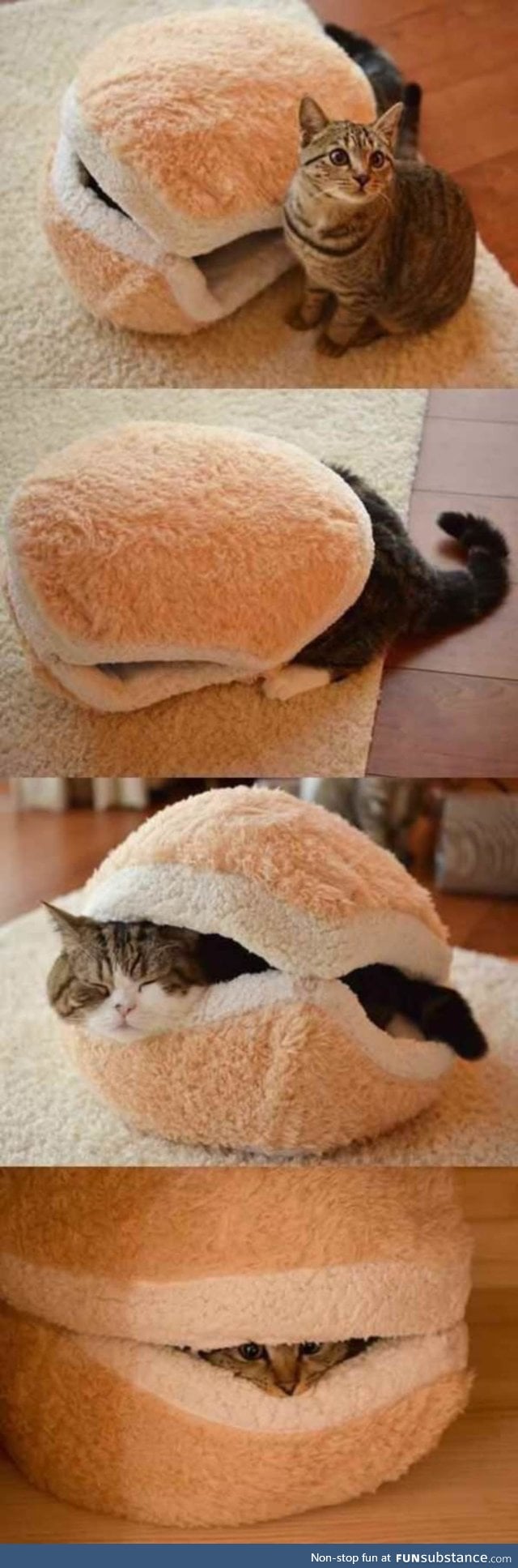 The cat comforter
