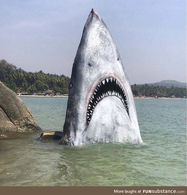 Someone painted this rock to make it look like a shark