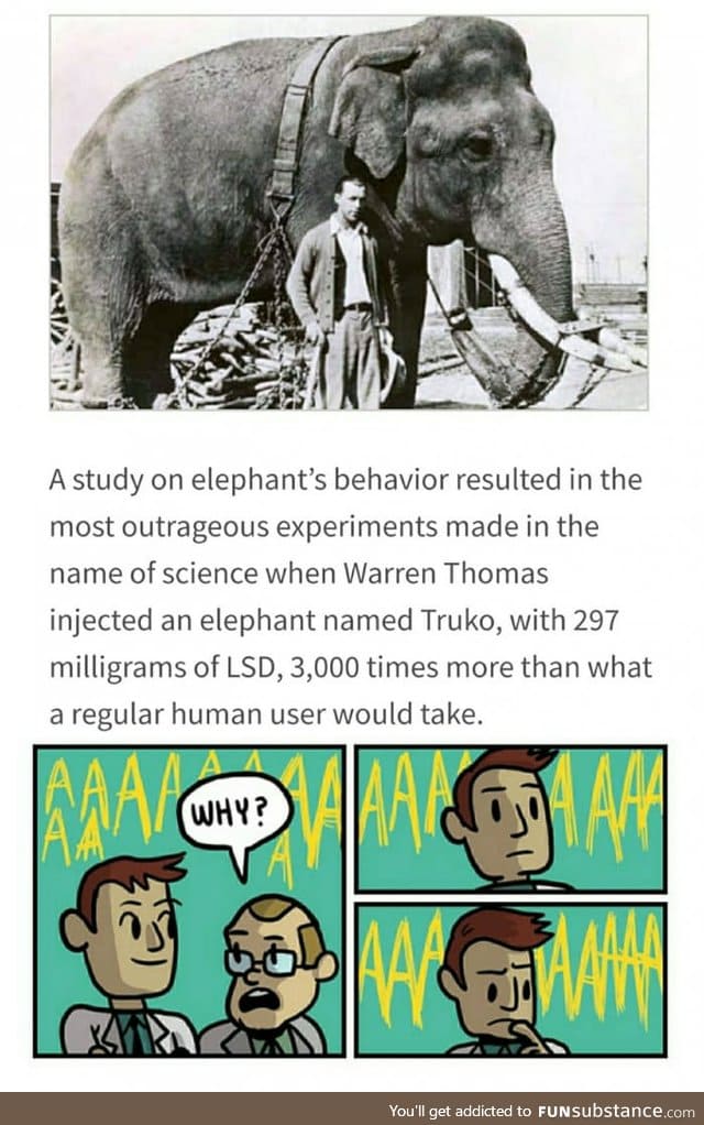 Why? Thats irrelephant