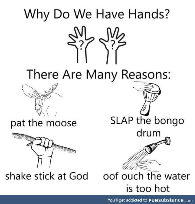 What do we have hands?