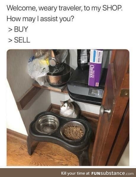 Khajiit has wares, if you have coin