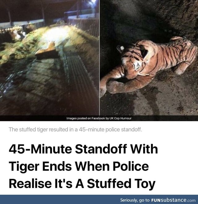 Tiger goes soft on the cops