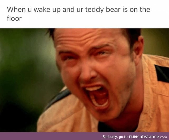 Poor teddy
