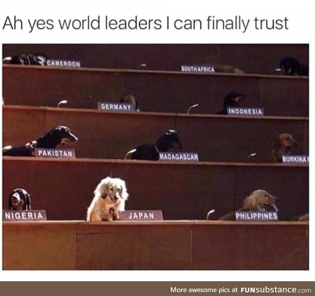 Who is a good leader? You are! Yes, you are!