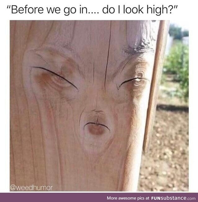 Do I look high?