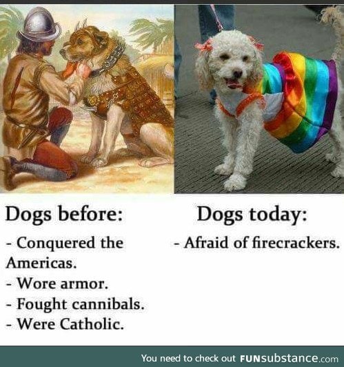 Dogs - a history