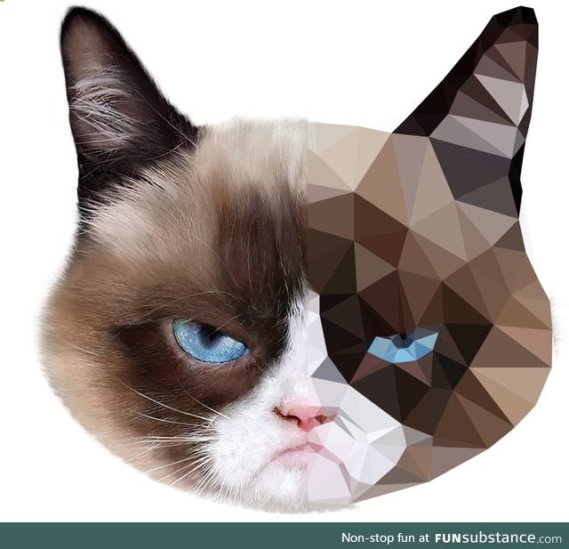 grumpy cat low poly art (OC)