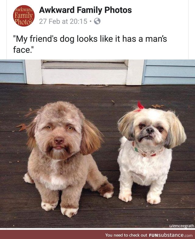 I thought this was some sort of face swap!