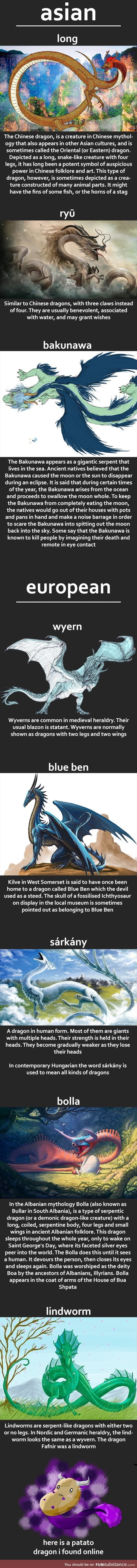 Some dragon types from different folklores!