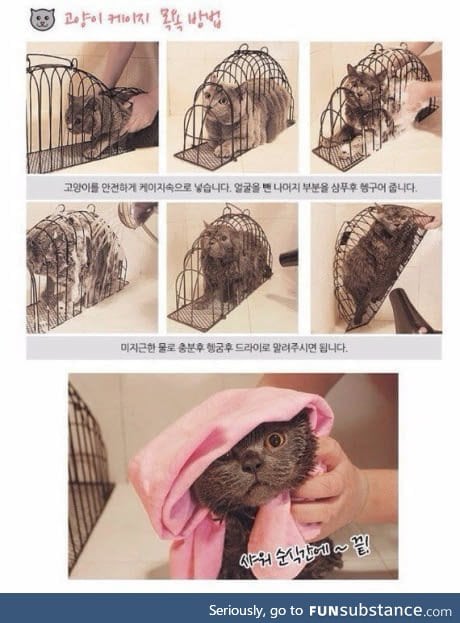 Japanese device for washing cats