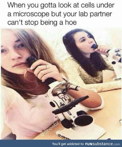 That's not how you use a microscope