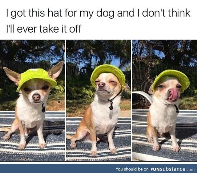 He is one with the hat