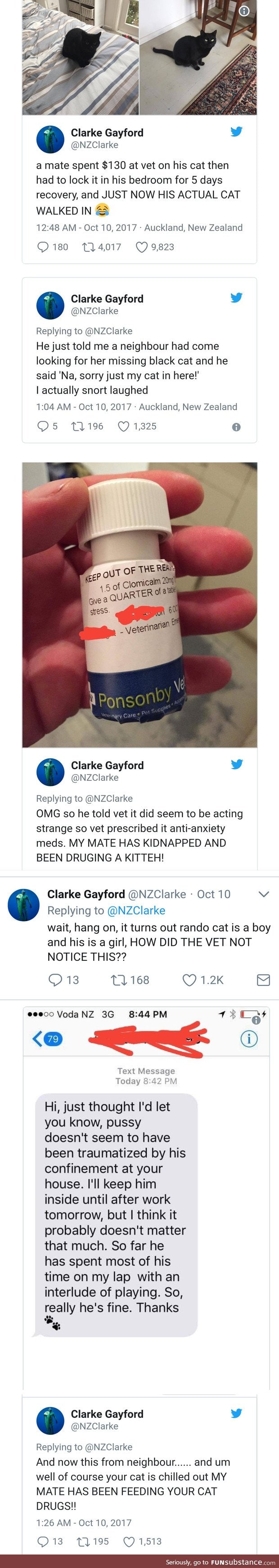 Man mistakes his neighbors cat for his own and gets it diagnosed