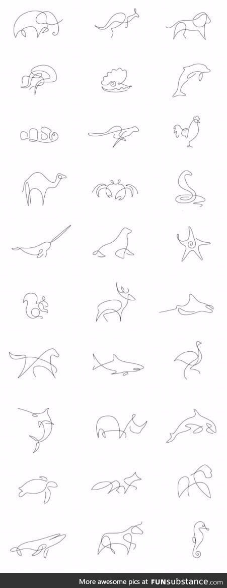 1 line animal drawings you can learn