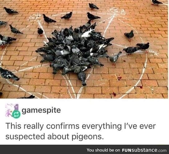 Pigeon ritual