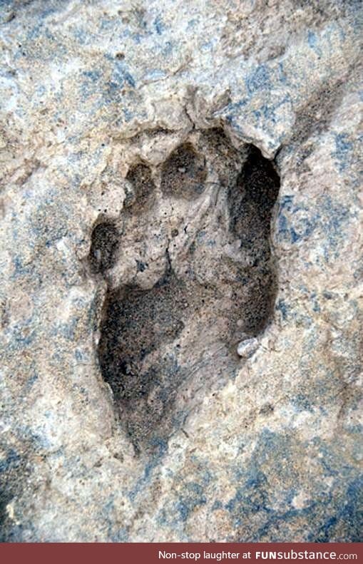 Earliest human footprints made 1.5 million years ago found in Kenya