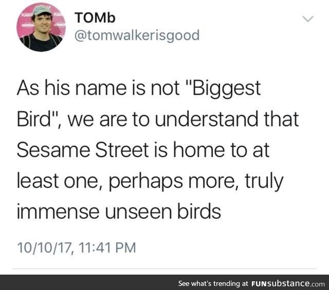 Biggest bird