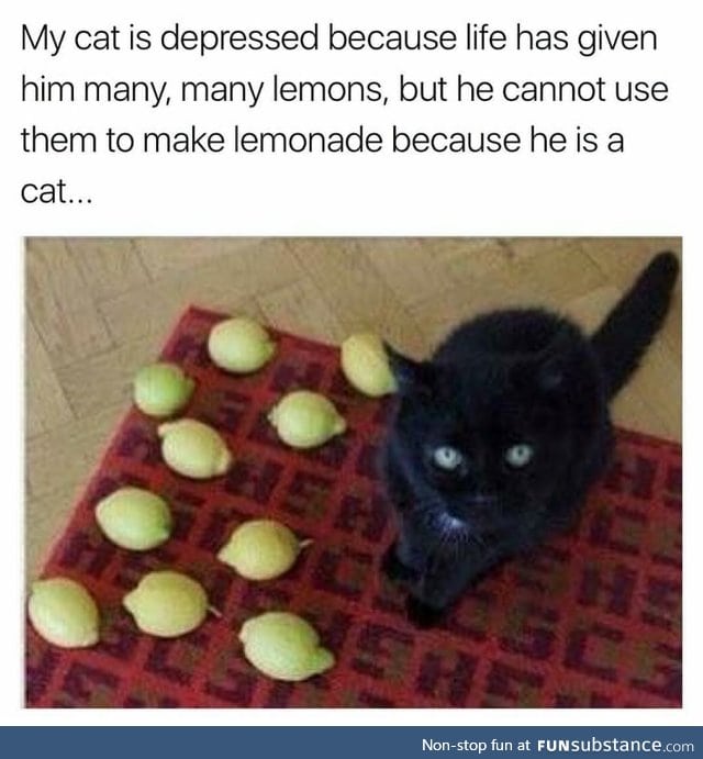 Can't do anything with lemons
