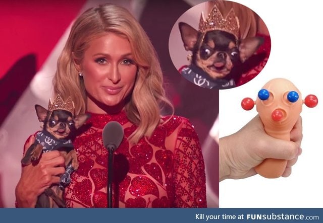 In case you missed it last night, here is Paris Hilton squeezing her dog
