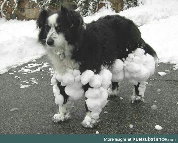 +10 armor +20 frost resistance -10 speed