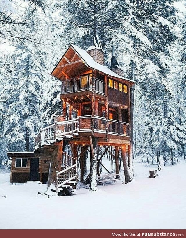 Tiny tree-house cabin in the forest