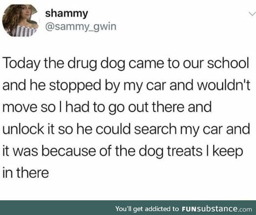 Dog treats