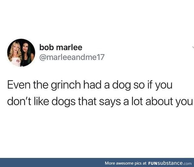 Everyone must like dogs