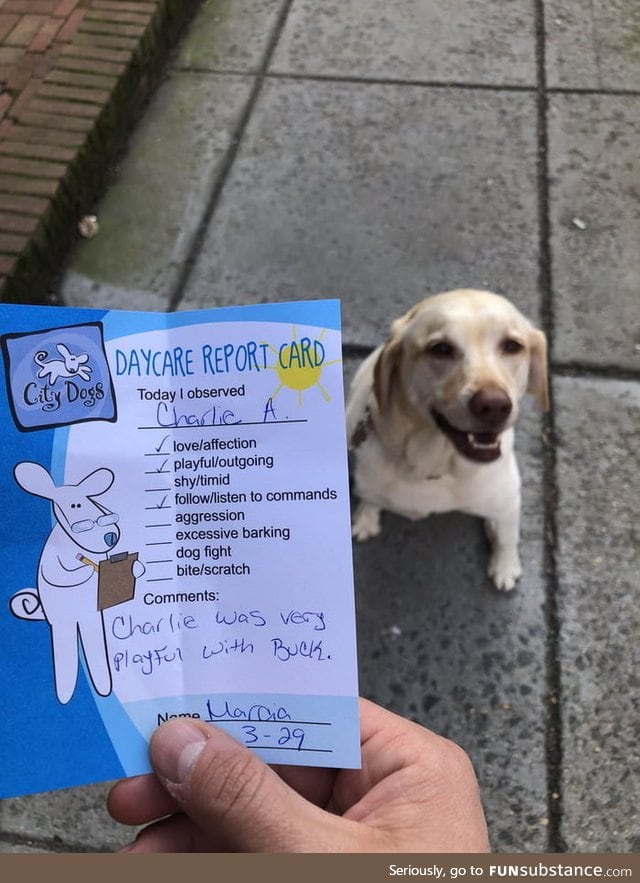 Charlie's report card