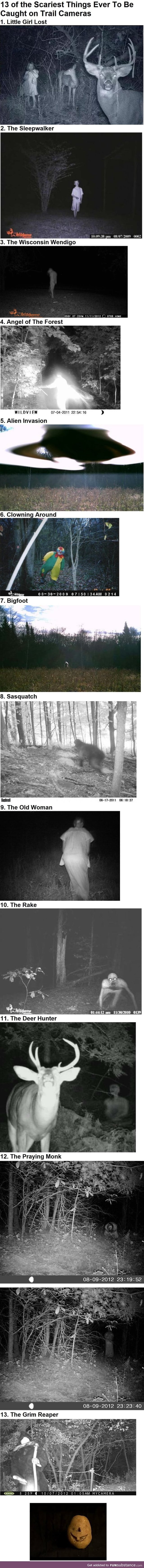 13 of the Scariest Things Ever To Be Caught on Trail Cameras