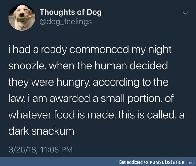 Thoughts of Dog: Dark Snackum