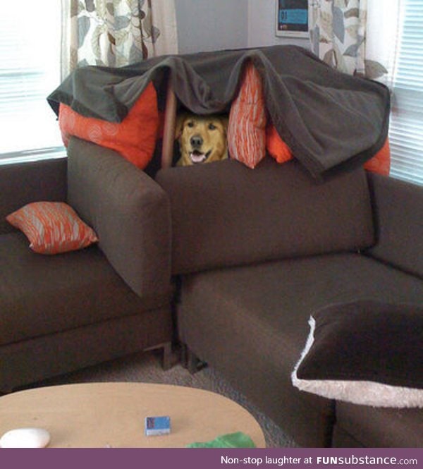 The only fort night that matters