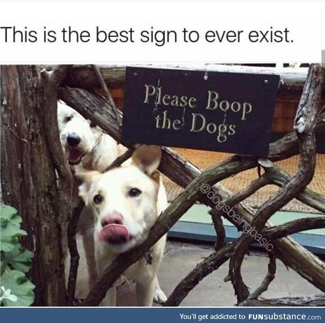 Follow the sign